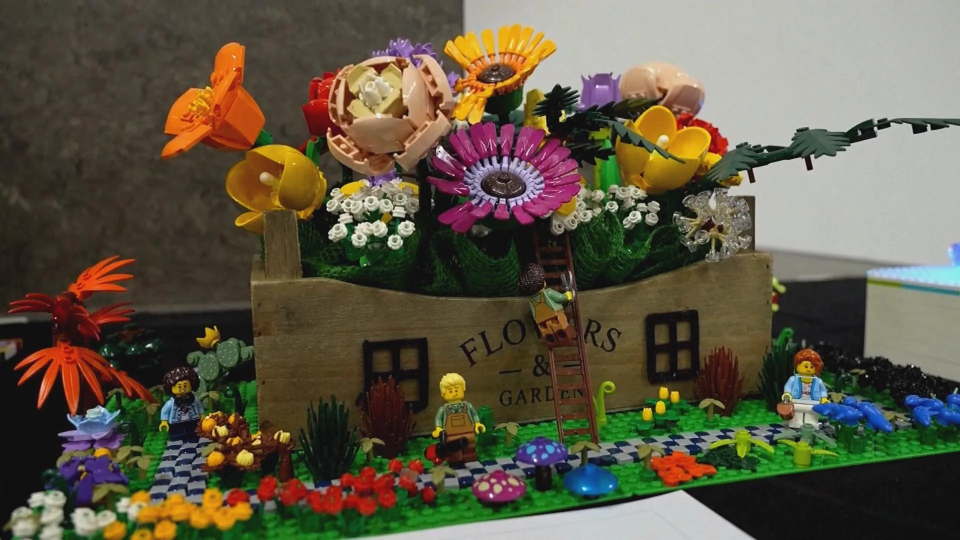 Các mô hình LEGO được đầu tư công phu, tái hiện cảnh chiến thuyền Viking giữa thiên nhiên, thể hiện khả năng sáng tạo đa dạng từ những viên gạch nhỏ