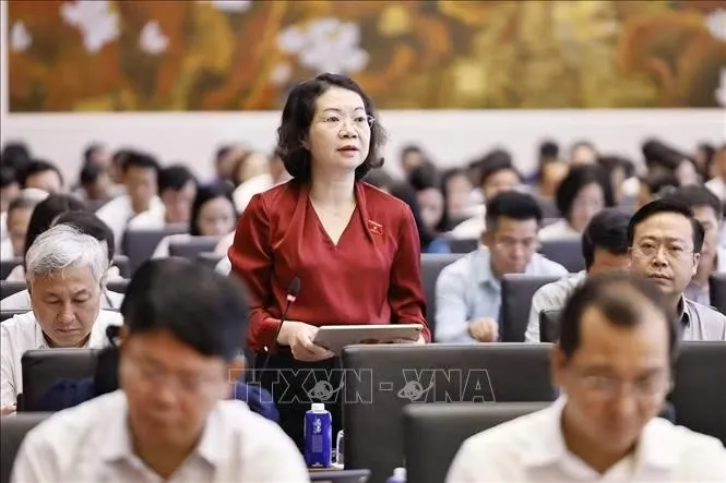Đại biểu Quốc hội tỉnh Ninh Bình Mai Thị Phương Hoa phát biểu.