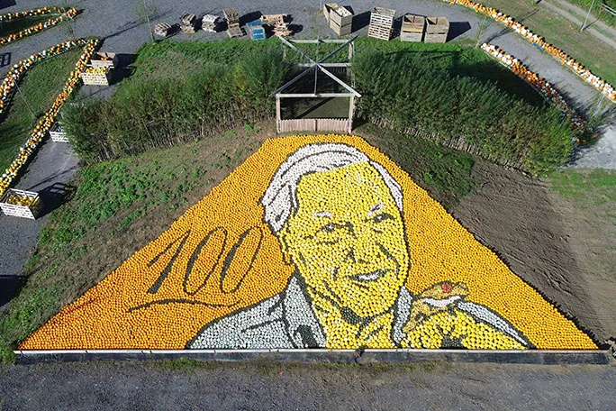 Bức tranh bí ngô hoàn thiện tại nông trại Sunnyfields
