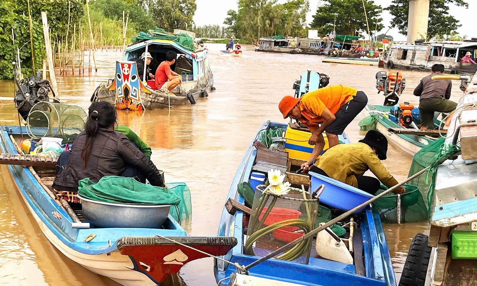 Lũ sông Cửu Long cảnh báo ngập vùng trũng thấp