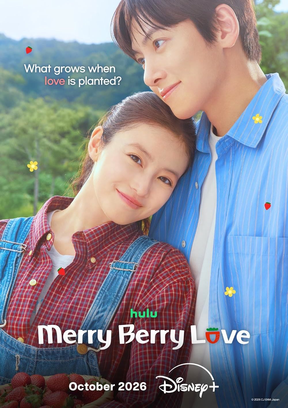 merry-berry-love-tv-series-