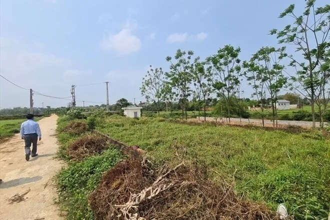 Ủy ban Thường vụ Quốc hội cho ý kiến về dự án Luật Đất đai (sửa đổi) - Ảnh 1.