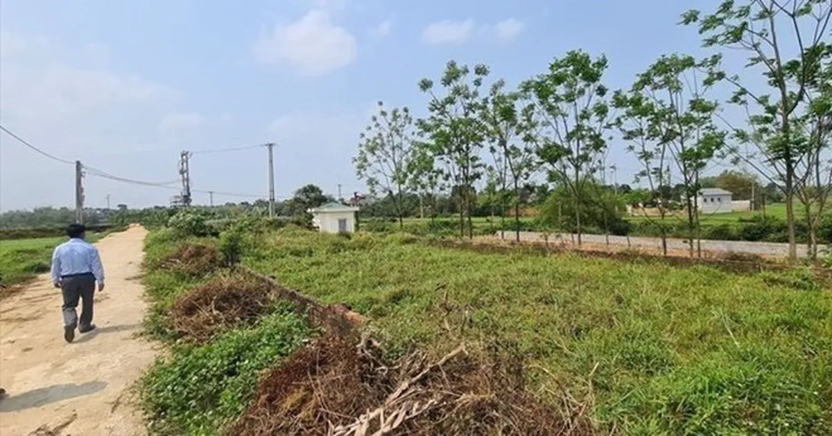 Ủy ban Thường vụ Quốc hội cho ý kiến về dự án Luật Đất đai (sửa đổi)