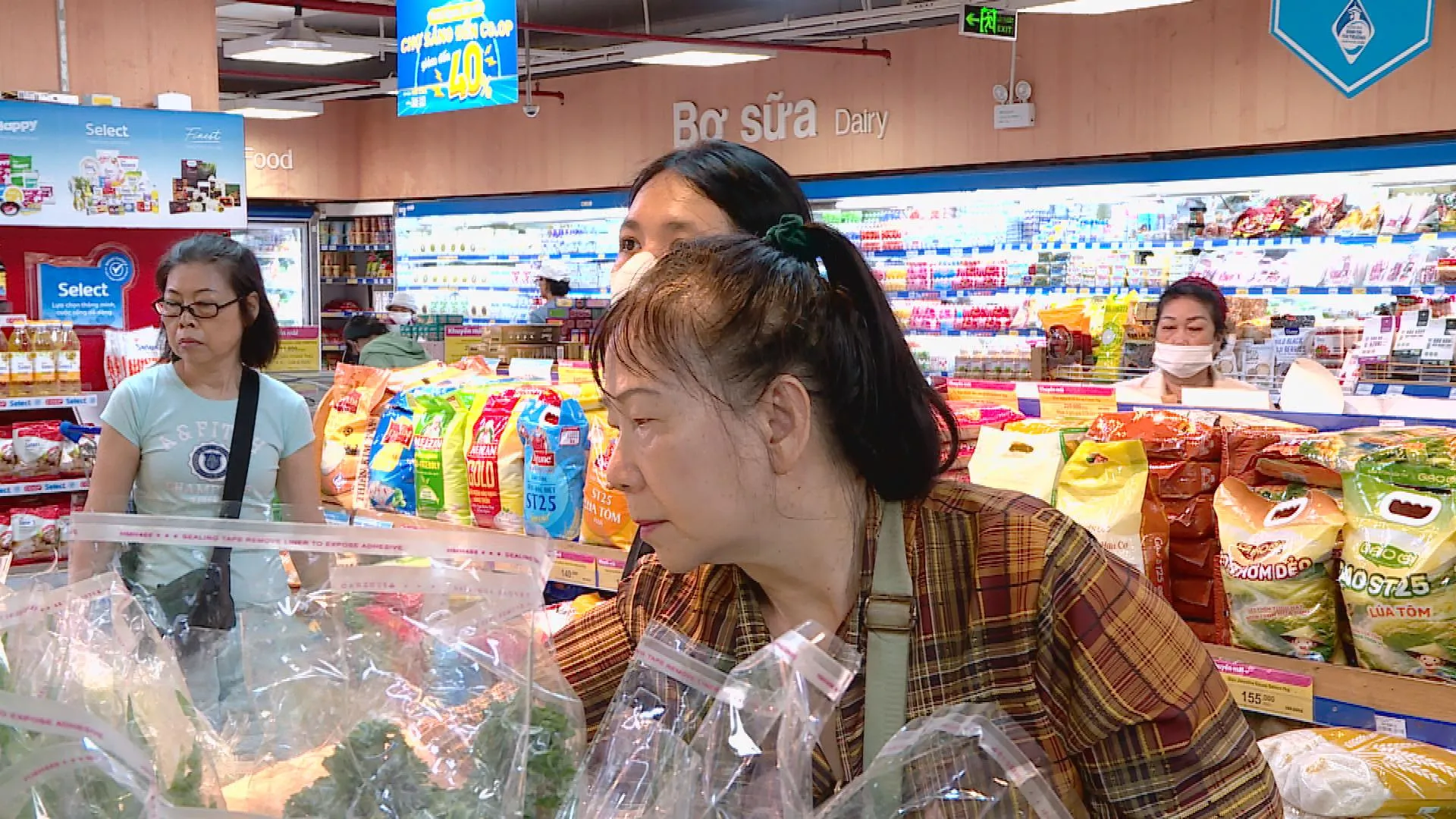MEO MEO - Ảnh 1.