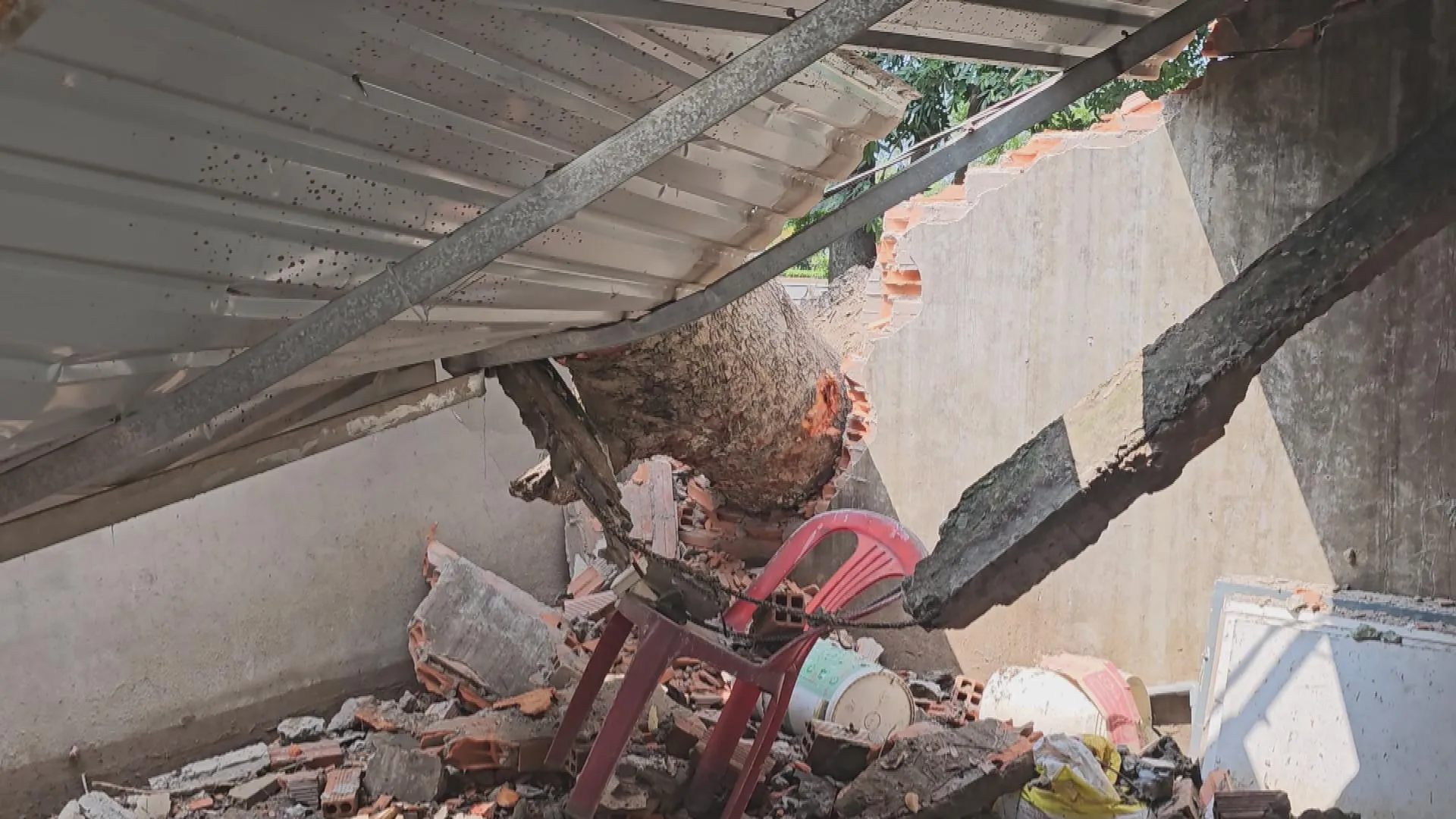 TP. Hồ Chí Minh: Cây xanh bật gốc đề sập tường nhà dân - Ảnh 3.