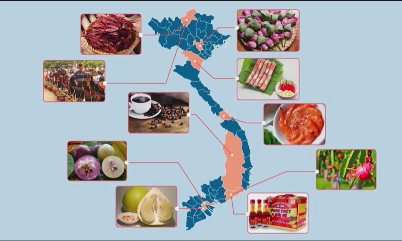 Festival OCOP 2026 sắp diễn ra tại TPHCM