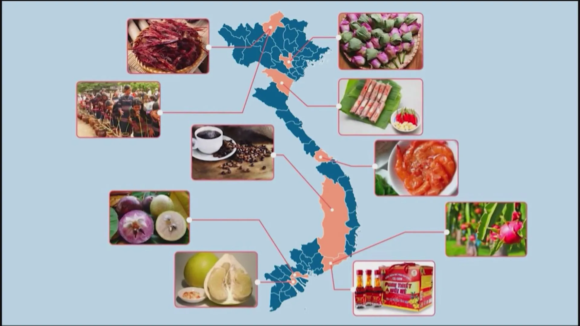 Bản đồ sản phẩm OCOP đặc trưng từ Bắc vào Nam