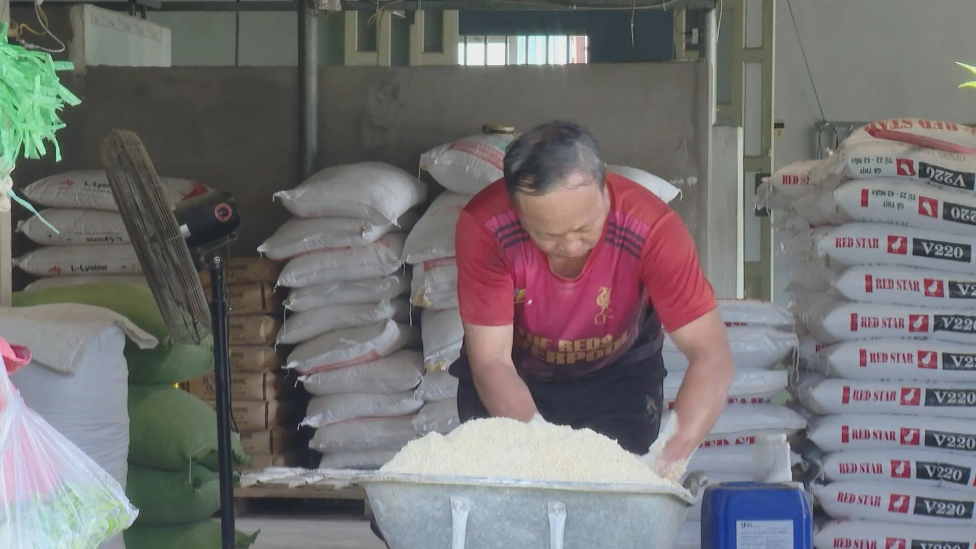 Đổi mới chăn nuôi an toàn sinh học TP. Hồ Chí Minh: Giảm chi phí, thu lời tỷ đồng- Ảnh 3.