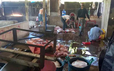 Triệt phá đường dây đưa hơn 10.000 tấn heo sử dụng chất cấm ra thị trường- Ảnh 2.