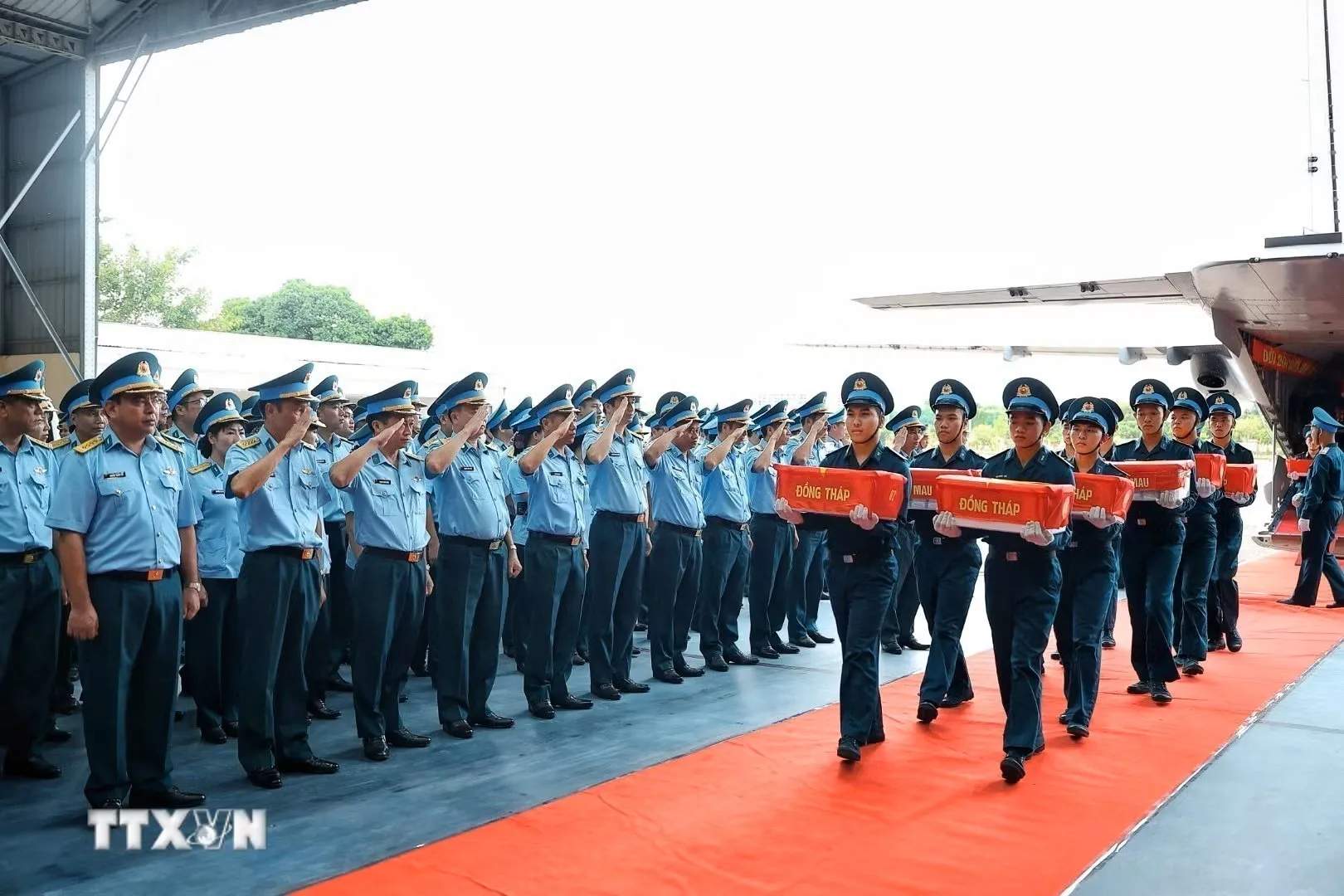 hon-15000-mau-hai-cot-liet-si-tu-quan-khu-9-duoc-dua-ra-ha-noi-giam-dinh-adn3