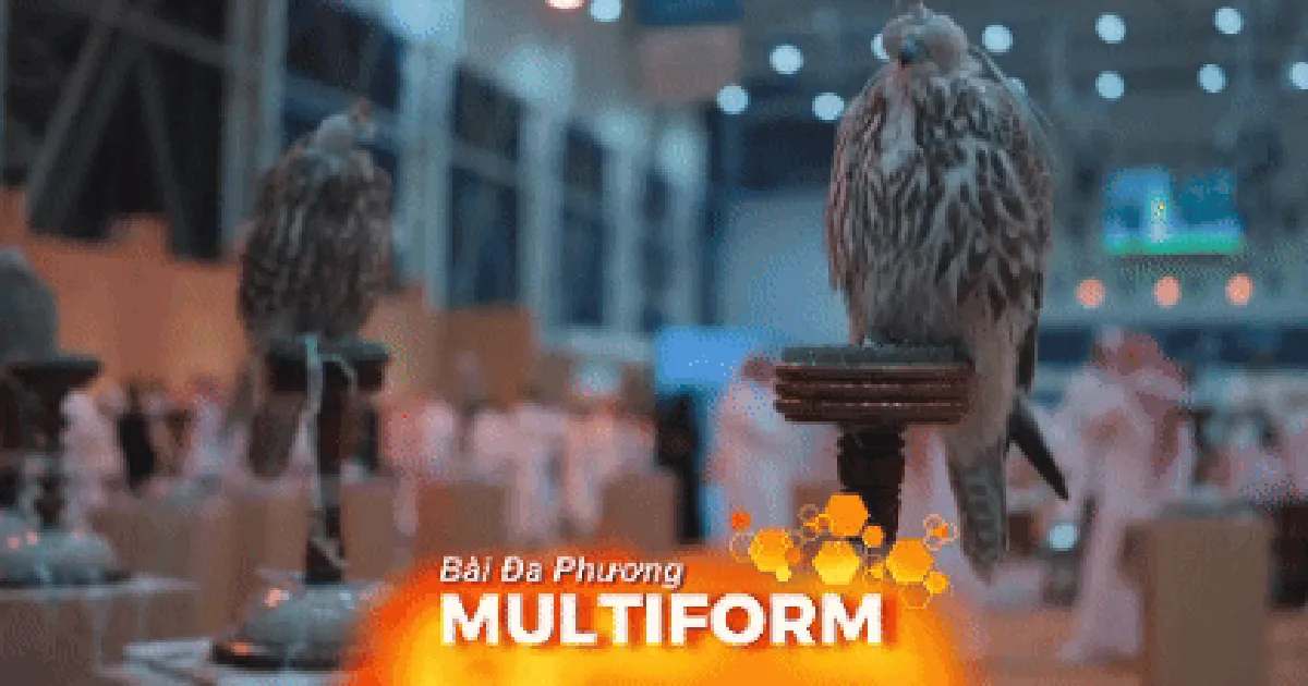 Triển lãm chuyên về chim ưng tại Ả-rập Xê-út