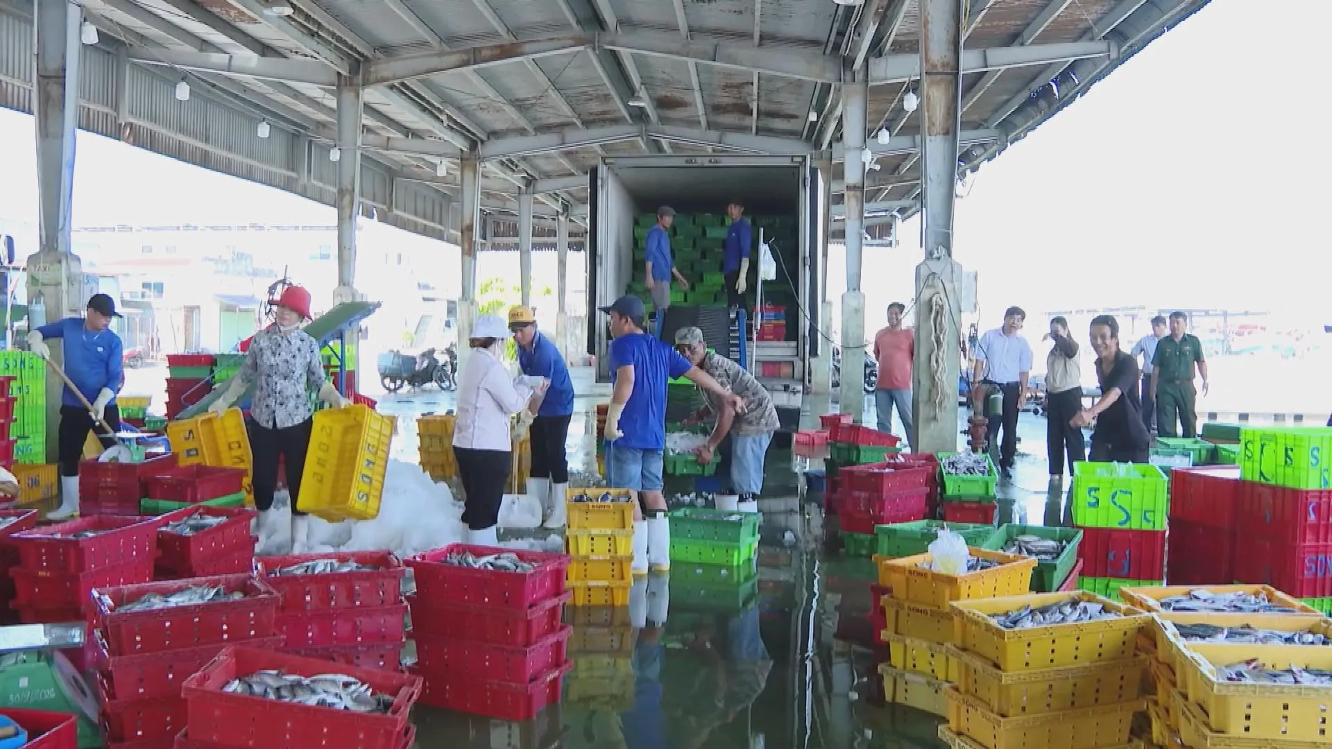 TP. Hồ Chí Minh đẩy nhanh số hóa quản lý tàu cá, hướng tới hoàn thành 100% trước hạn - Ảnh 1.