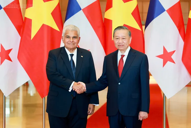 Tổng Bí thư, Chủ tịch nước Tô Lâm hội đàm với Tổng thống Cộng hòa Panama (Ảnh: chinhphu.vn/Nhật Bắc)