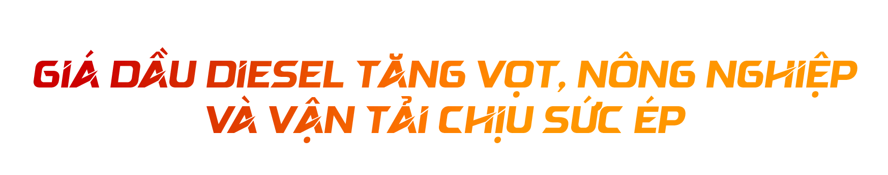 NRTG: Giá dầu diesel lập đỉnh, G7 xả 100 triệu thùng dầu dự trữ - Ảnh 1. NRTG: Giá dầu diesel lập đỉnh, G7 xả 100 triệu thùng dầu dự trữ - Ảnh 1.