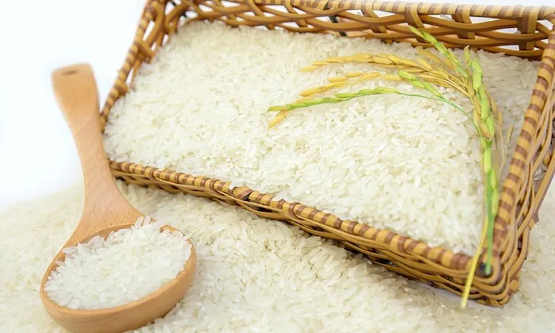 Giá lúa gạo ngày 8/10: Giá lúa tăng nhẹ