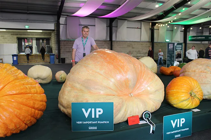 Ông Ian Paton bên quả bí Baloo tại triển lãm Malvern Autumn Show tháng 9/2026