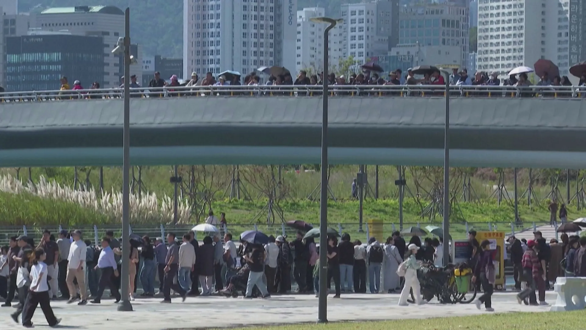 Cá mập ở Busan thu hút gần 20.000 người, giải cứu bất thành- Ảnh 4.