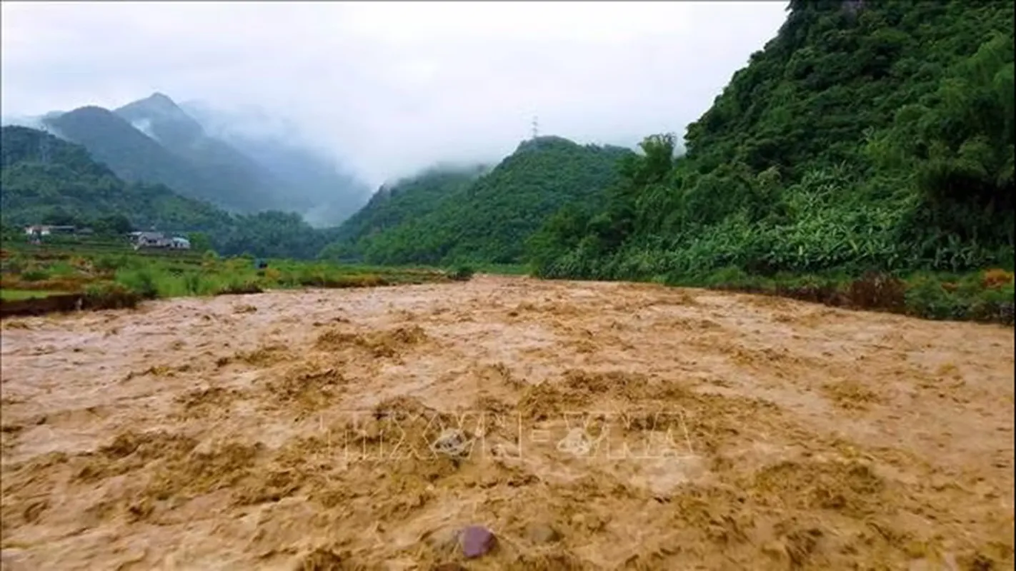 Ảnh minh họa TTXVN