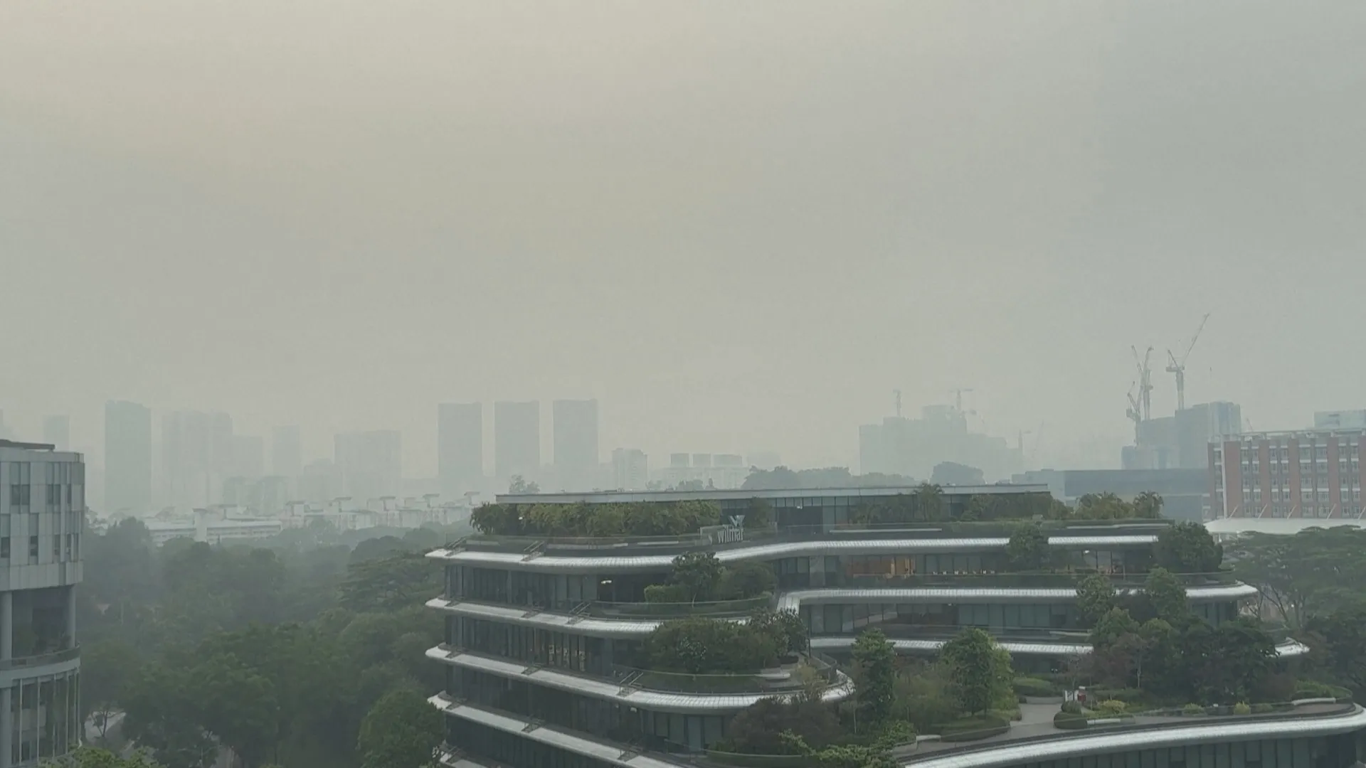 Mù do khói bụi chuyển biến xấu ở Singapore - Ảnh 4. Mù do khói bụi chuyển biến xấu ở Singapore - Ảnh 4.