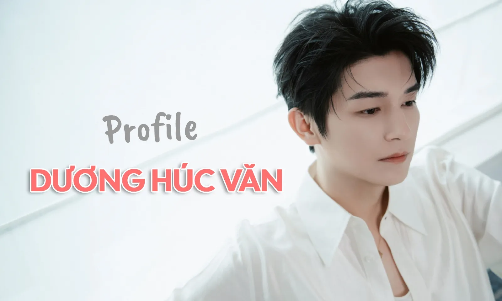 Dương Húc Văn là ai, từng để lại dấu ấn trong những bộ phim nào?