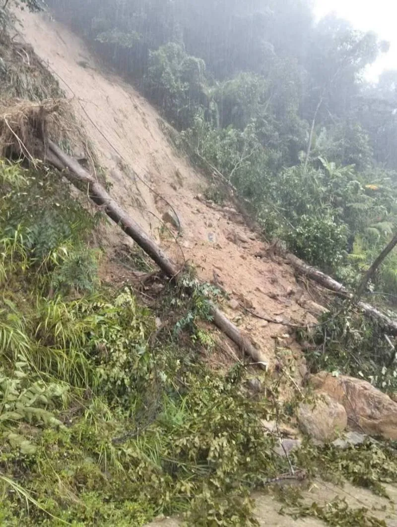 Đất đá, cây lớn đổ xuống đường, đoạn dẫn vào thôn Tak Tố, xã Nam Trà My sáng 11/10 (Ảnh: UBND xã Nam Trà My)