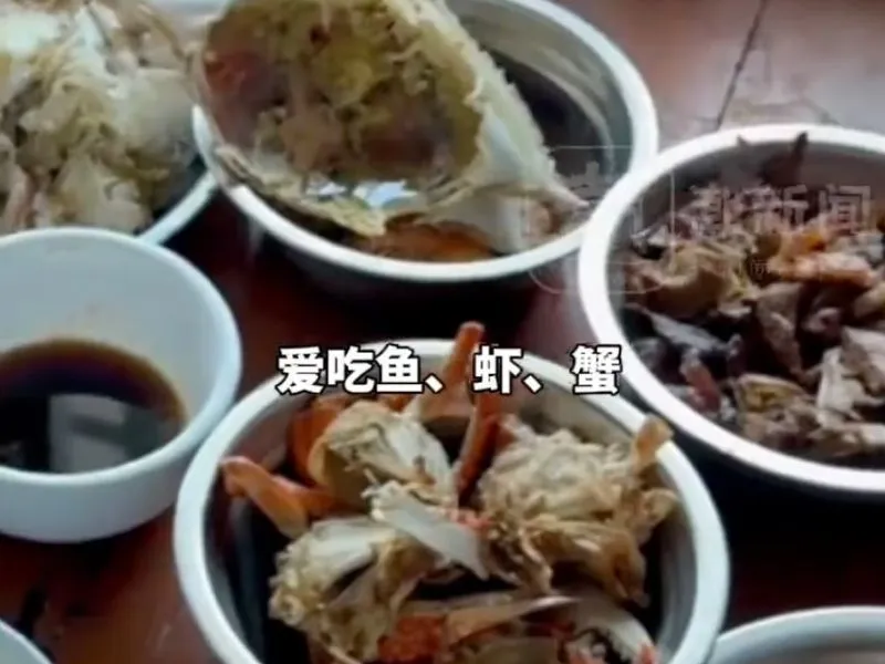 bi-quyet-truong-tho-nguoc-doi-cua-cu-ong-101-tuoi-uong-nuoc-co-ga-moi-ngay-nhau-hai-san-tha-ga-1