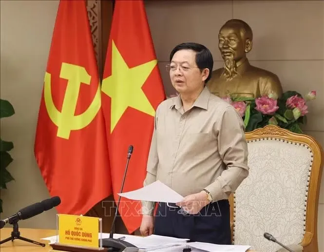 Phó Thủ tướng Hồ Quốc Dũng chủ trì họp Ban Chỉ đạo Quốc gia về IUU - Ảnh: Lâm Khánh - TTXVN