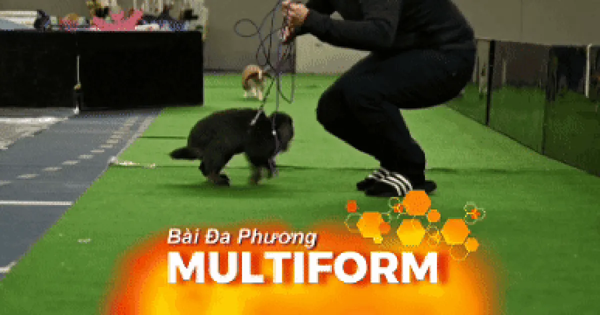 Thụy Điển: “Thế vận hội” dành riêng cho thỏ