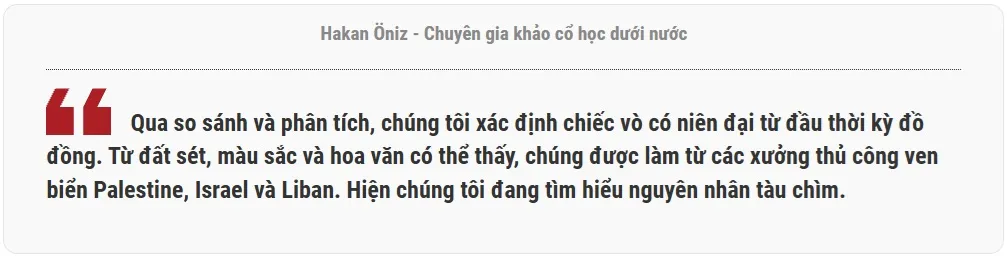 Chuyên gia khảo cổ học