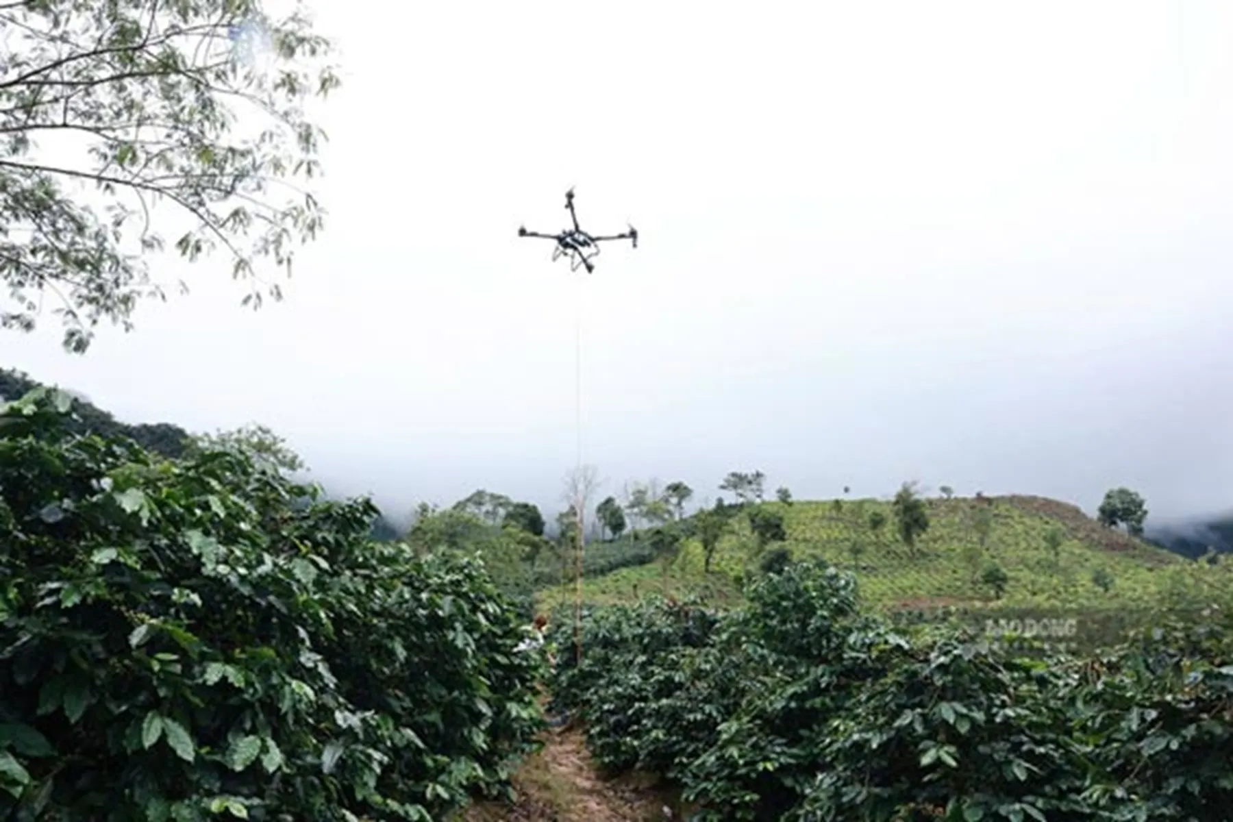 UAV thực hiện việc vận tải hàng hóa ở những nơi có địa hình đèo dốc, phương tiện đường bộ khó tiếp cận - Ảnh: Thành An - Lao Động