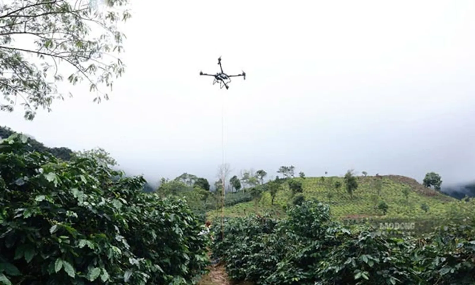 Điện Biên thực hiện thành công 118 chuyến bay UAV vận chuyển hàng hóa