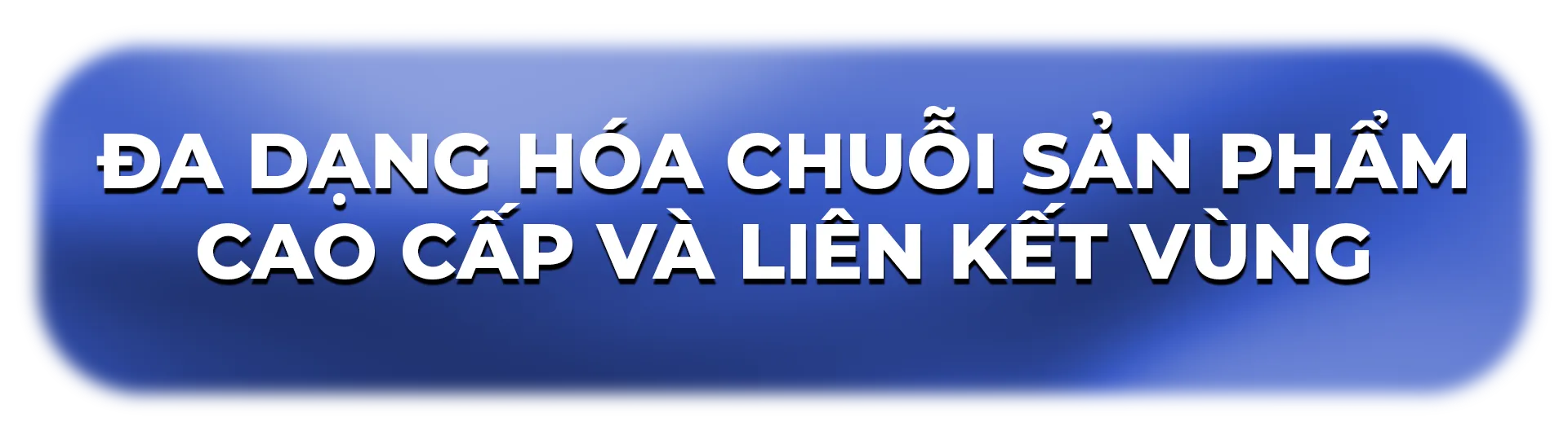 Du lịch TP. Hồ Chí Minh tung loạt trải nghiệm mới, đón sóng cao điểm cuối năm - Ảnh 5.