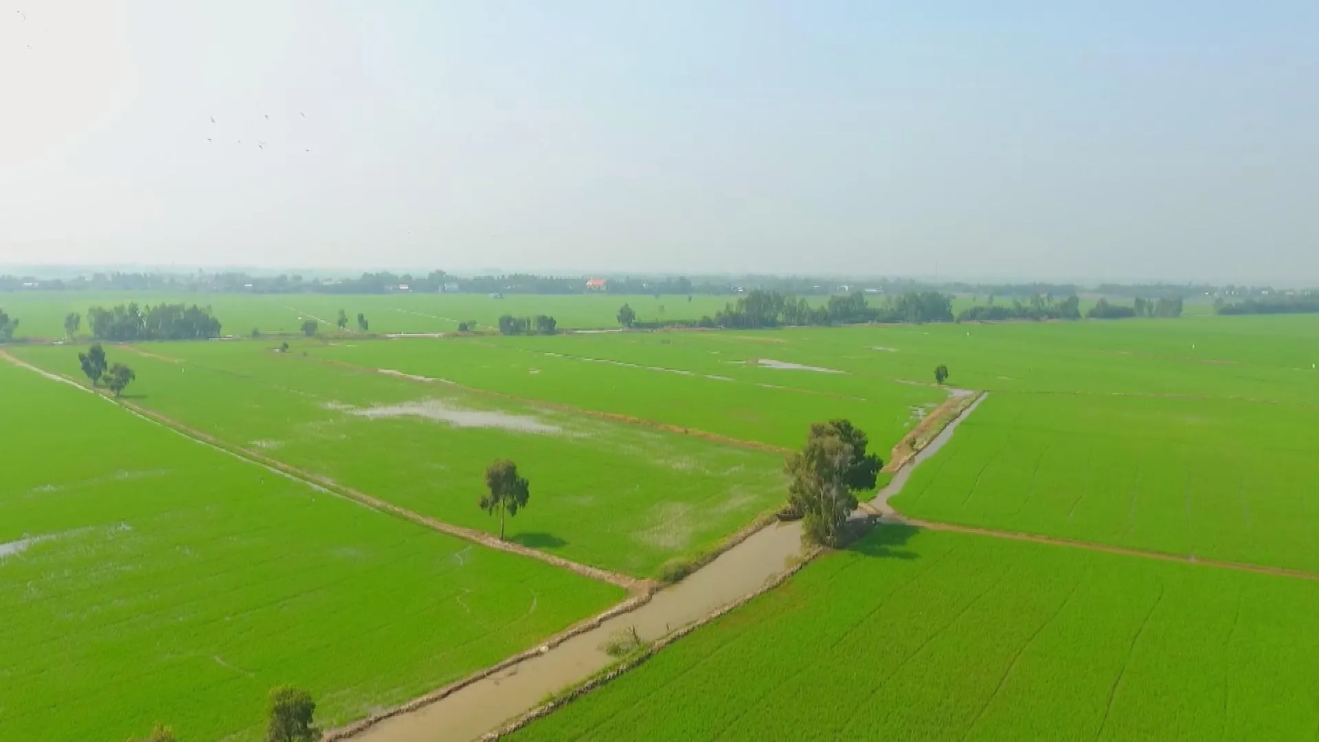 Giảm phát thải, tăng giá trị hạt gạo Việt- Ảnh 1.