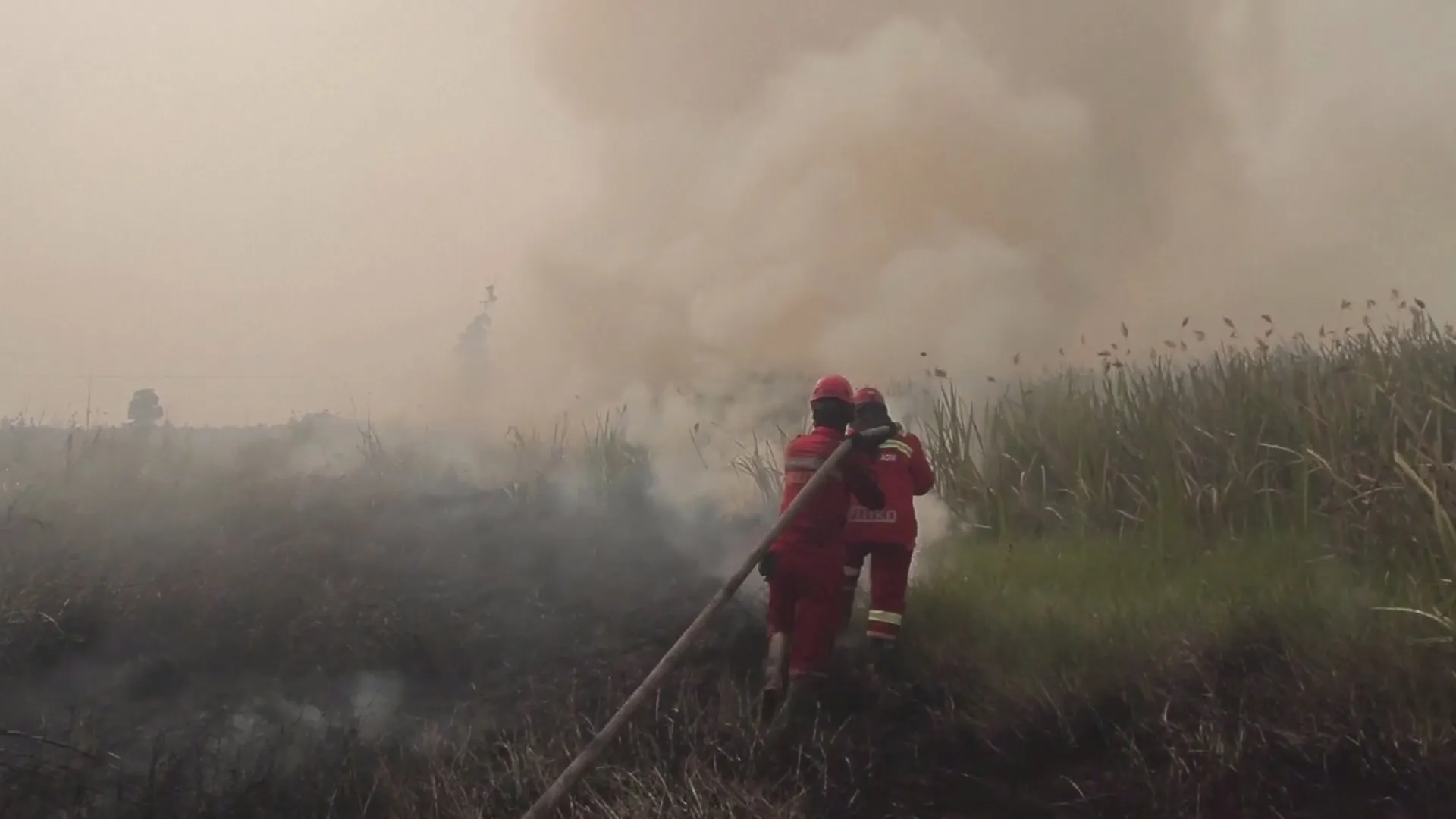 El Niño và bão làm trầm trọng ô nhiễm không khí ở Đông Nam Á- Ảnh 6.