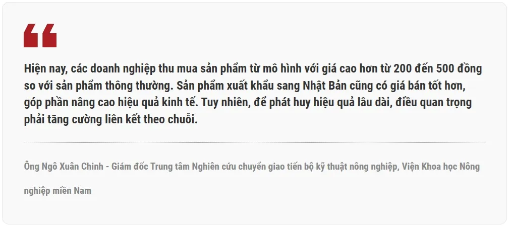 Ngô Xuân Chinh