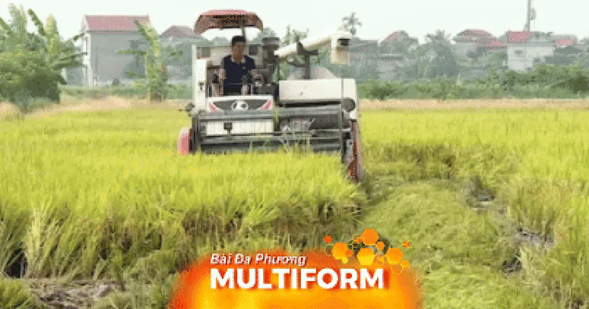 Giảm phát thải, tăng giá trị hạt gạo Việt