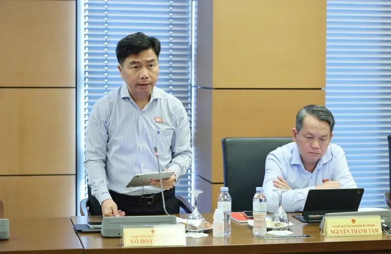 Đại biểu Quốc hội Võ Hoàng Ngân (TPHCM) phát biểu tại thảo luận Tổ