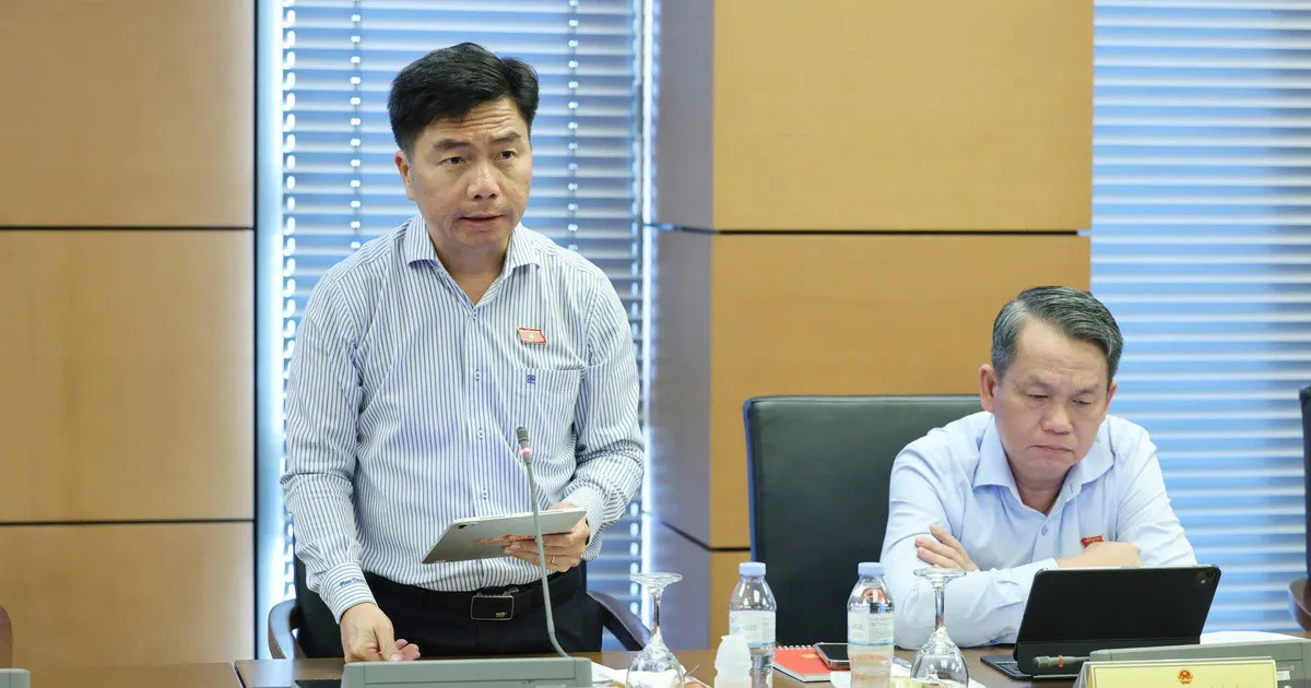 Xác định rõ phạm vi điều chỉnh giữa Luật Đấu giá tài sản với các luật chuyên ngành
