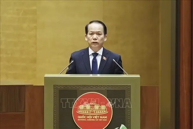 Khắc phục tình trạng 'cò mồi', trục lợi trong đấu giá tài sản - Ảnh 1.