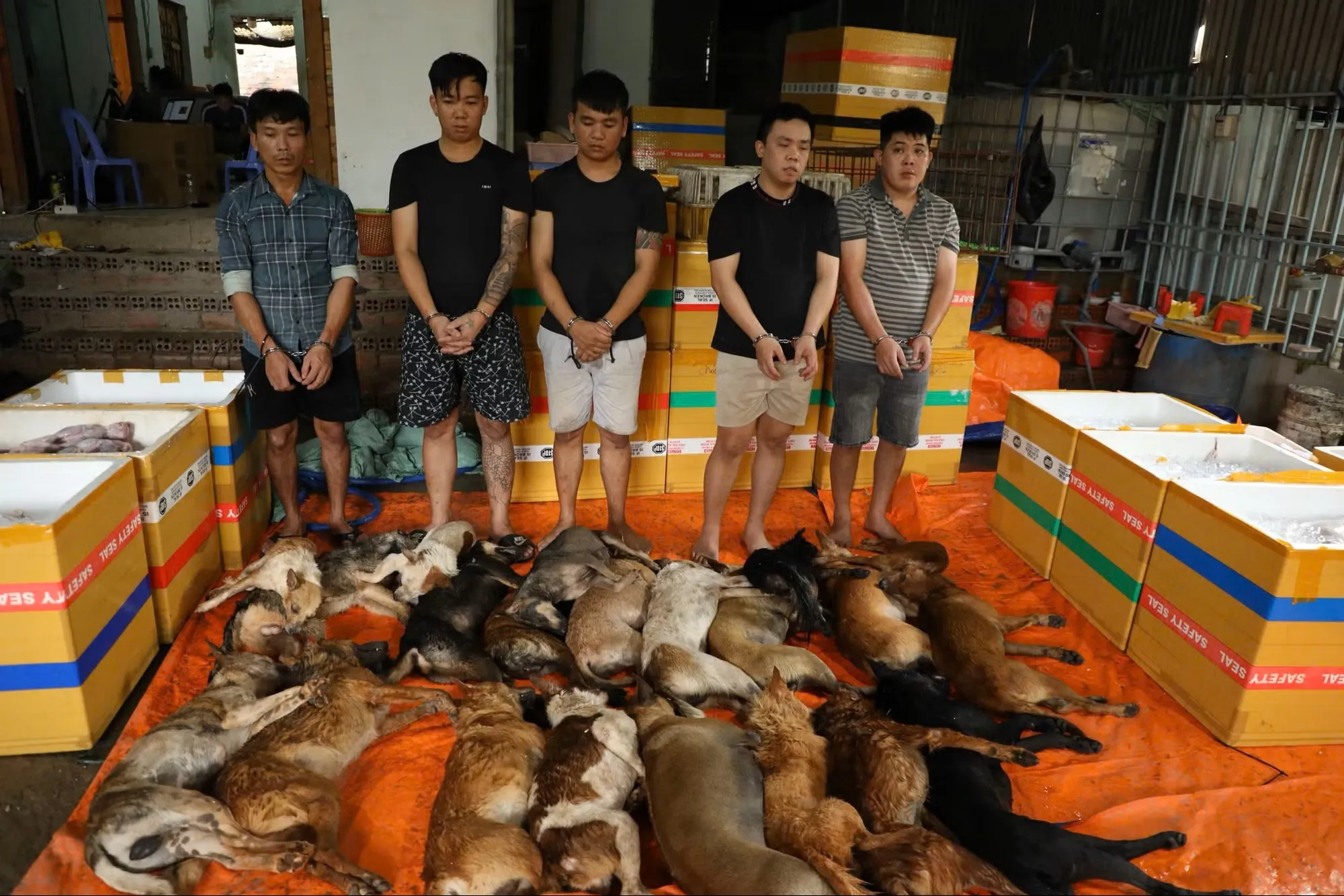 Nhóm đối tượng cùng tang vật.
