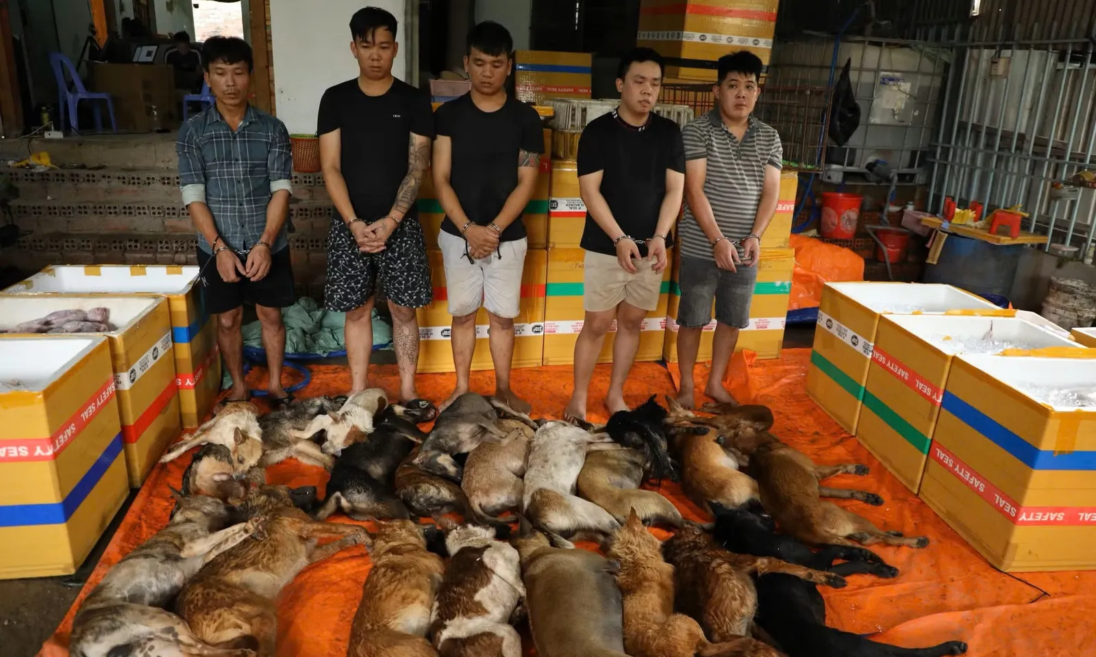 Khởi tố 11 bị can, làm rõ đường dây trộm chó liên tỉnh tiêu thụ hơn 10 tấn thịt