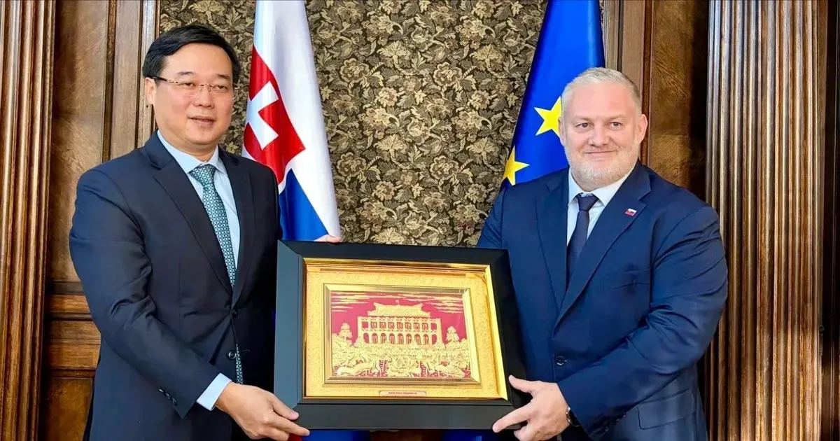 TP. Hồ Chí Minh thúc đẩy hợp tác văn hóa, quản trị đô thị với các địa phương Slovakia