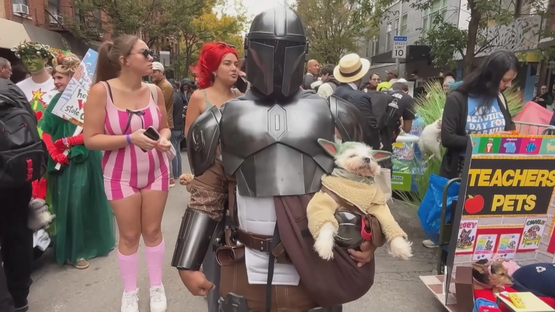 Diễu hành chó hóa trang Halloween tại New York - Ảnh 2.