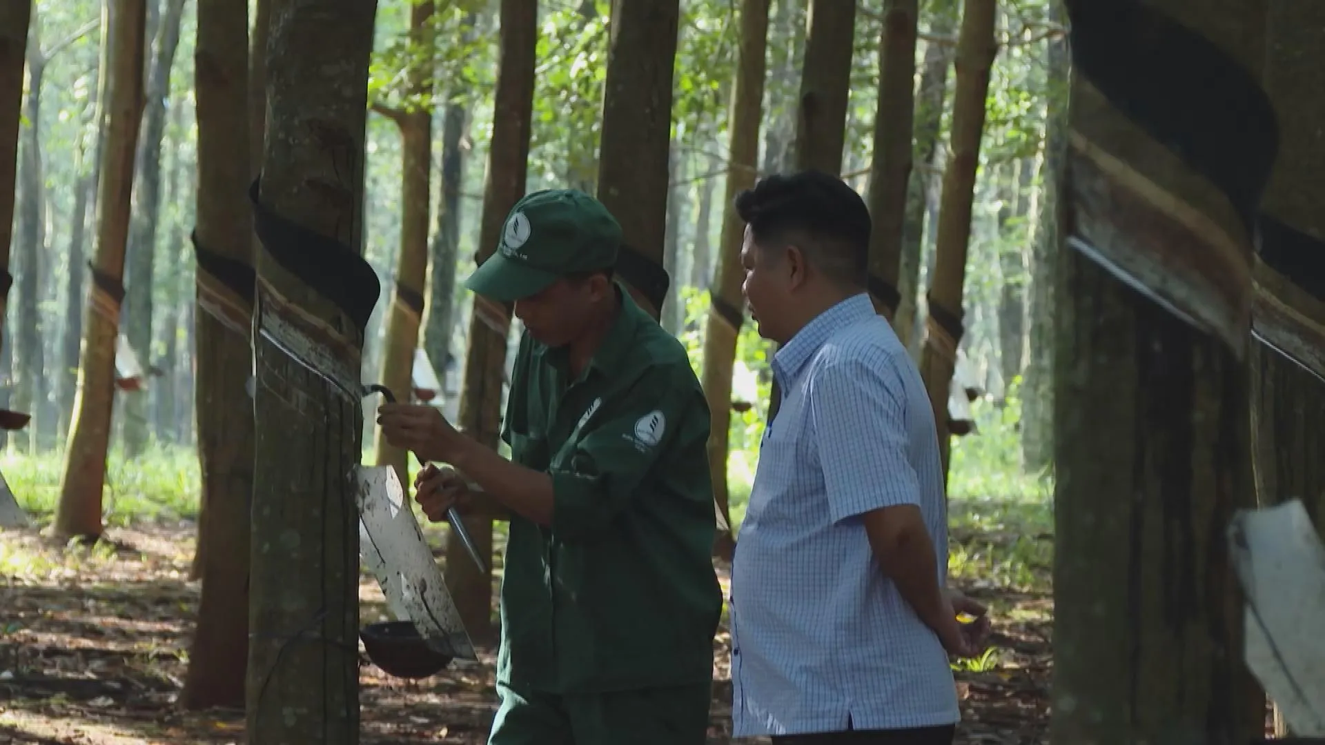Chung tay thực hiện mục tiêu khám sức khỏe toàn dân | Vươn Khơi - Ngày 22/10/2026- Ảnh 5.