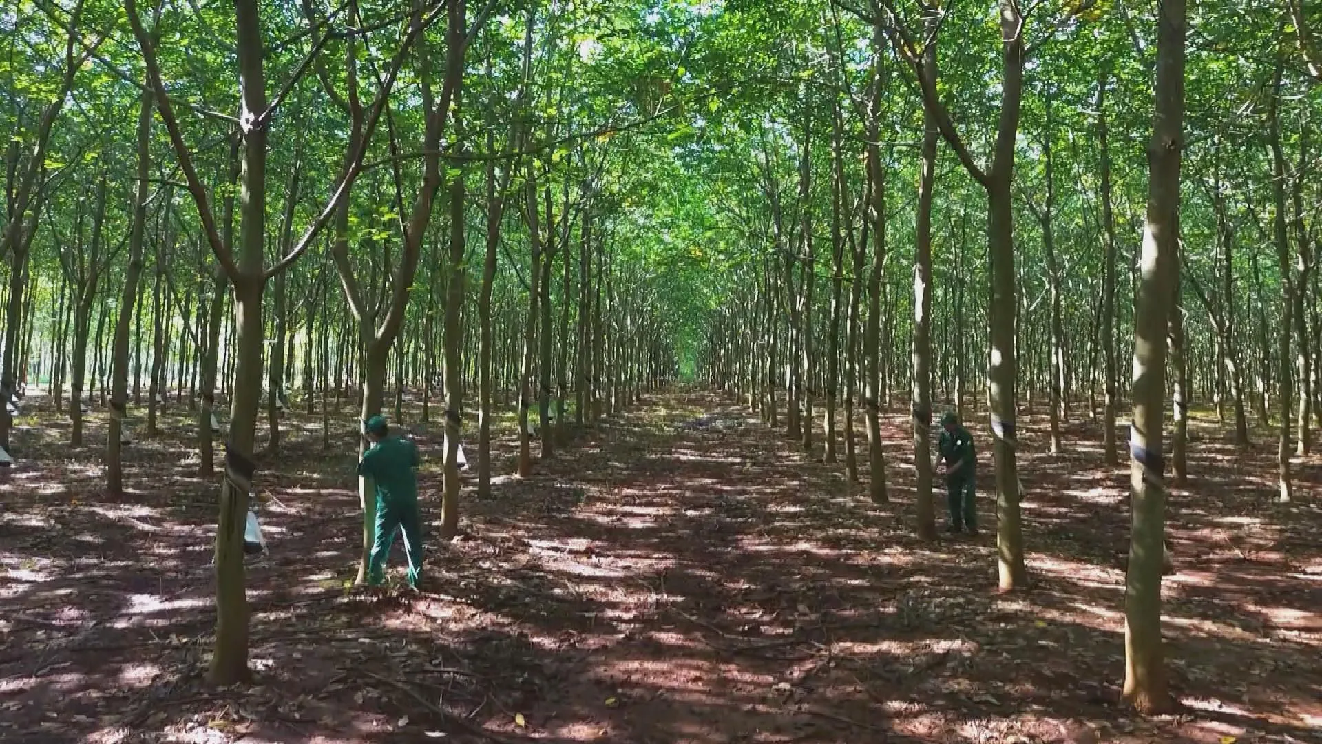 Chung tay thực hiện mục tiêu khám sức khỏe toàn dân | Vươn Khơi - Ngày 22/10/2026- Ảnh 6.