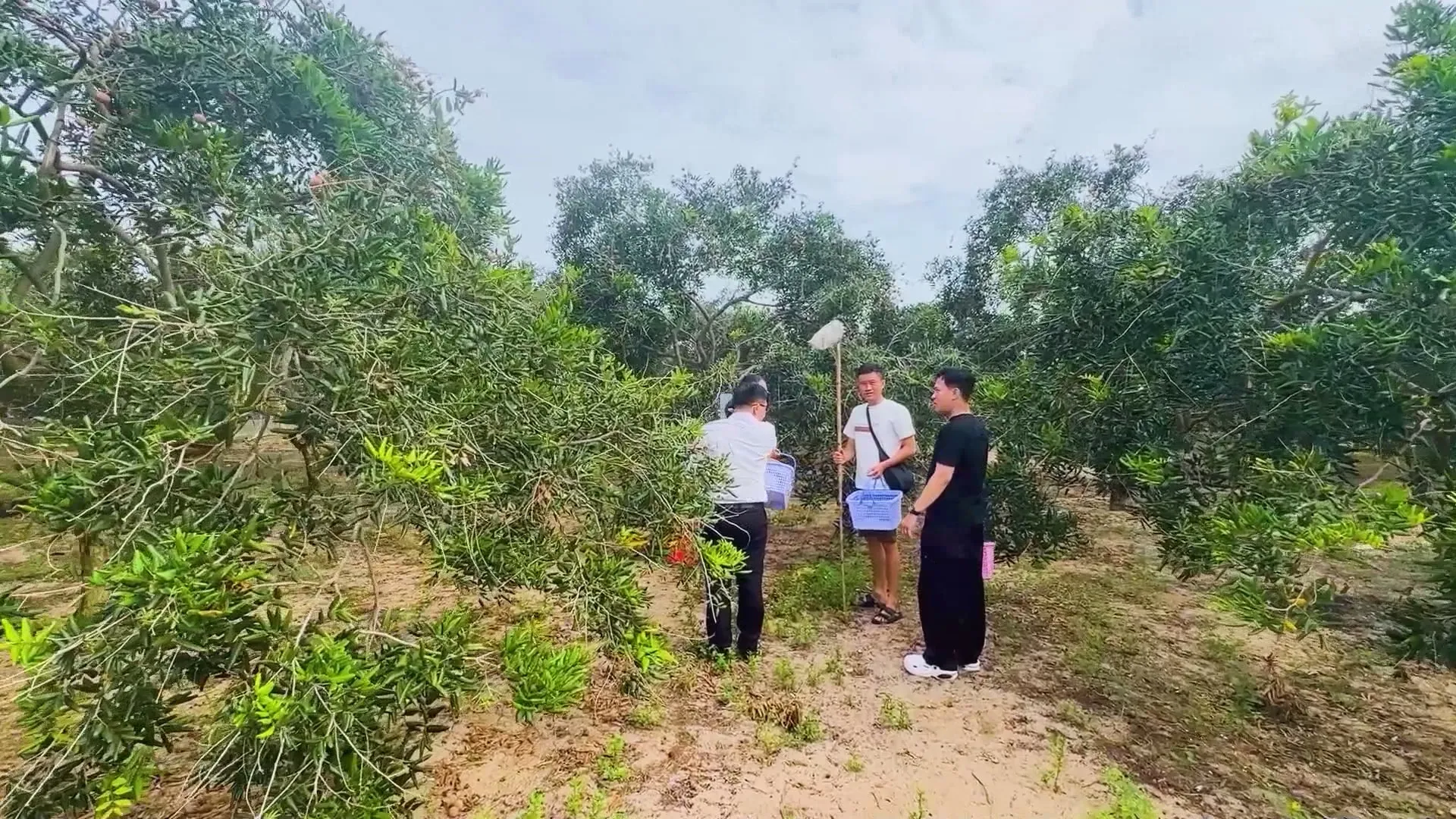 Luật Phát triển đô thị: Giải bài toán sản phẩm du lịch manh mún - Ảnh 6. Luật Phát triển đô thị: Giải bài toán sản phẩm du lịch manh mún - Ảnh 6.