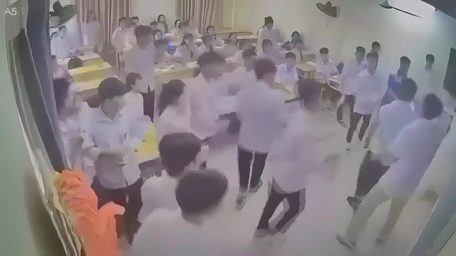 Ghi nhận thêm 35 loài chim mới tại Khu bảo tồn thiên nhiên Đakrông | 60 Giây Sáng ngày 22/10/2026 - Ảnh 3.