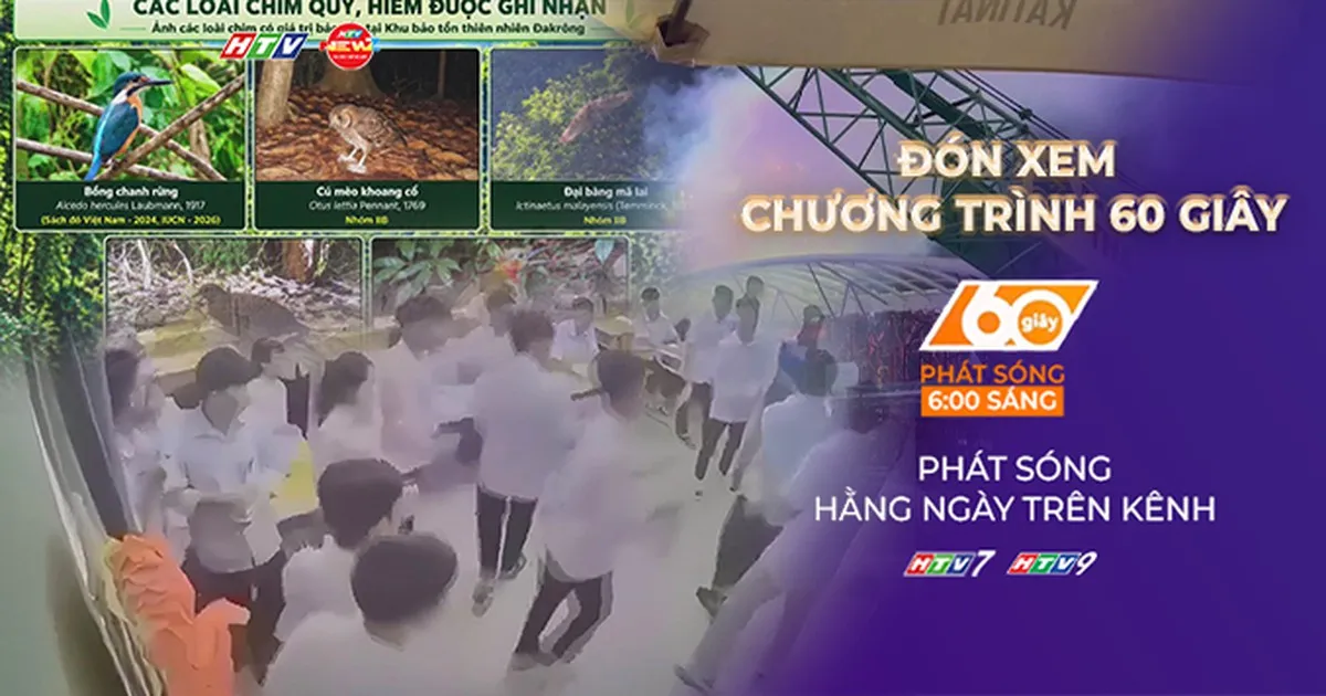 Ghi nhận thêm 35 loài chim mới tại Khu bảo tồn thiên nhiên Đakrông | 60 Giây Sáng ngày 22/10/2026