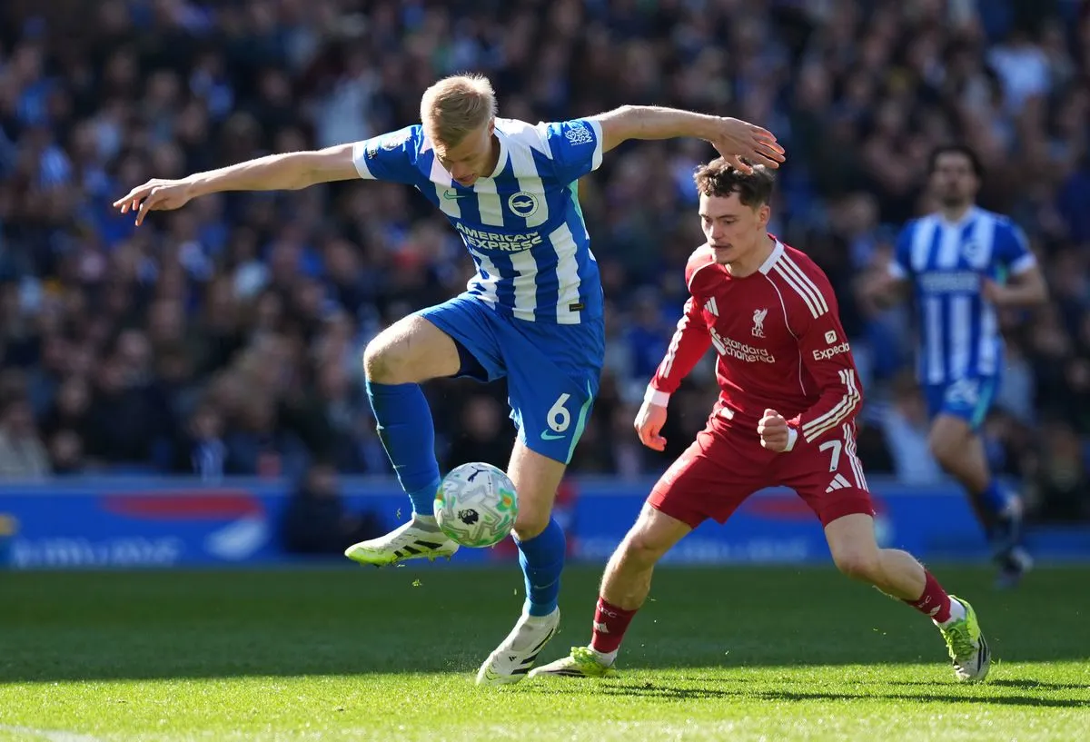 brighton-liverpool