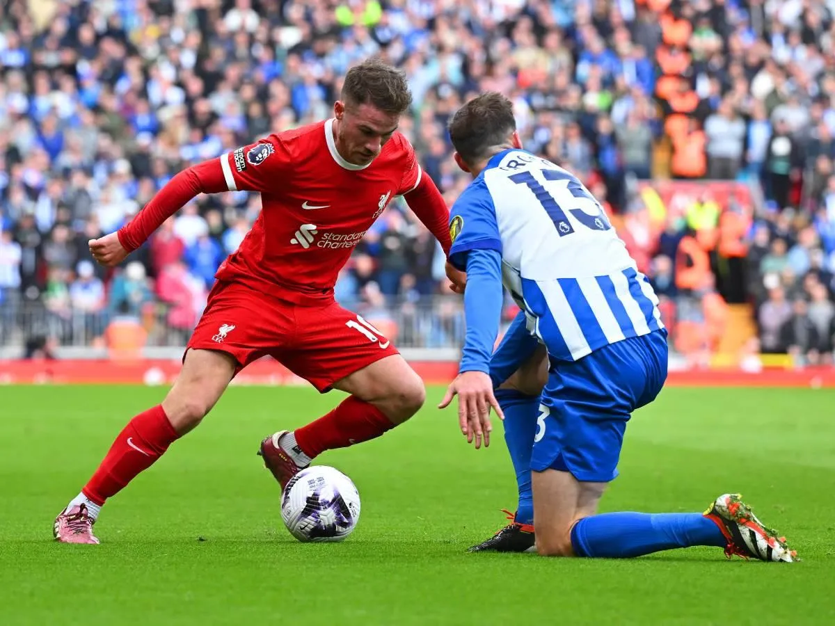 liverpool-brighton